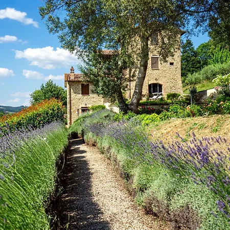 דירה Guesthost - Casale Dei Tramonti - Nature's Haven In Renovated With Pool *