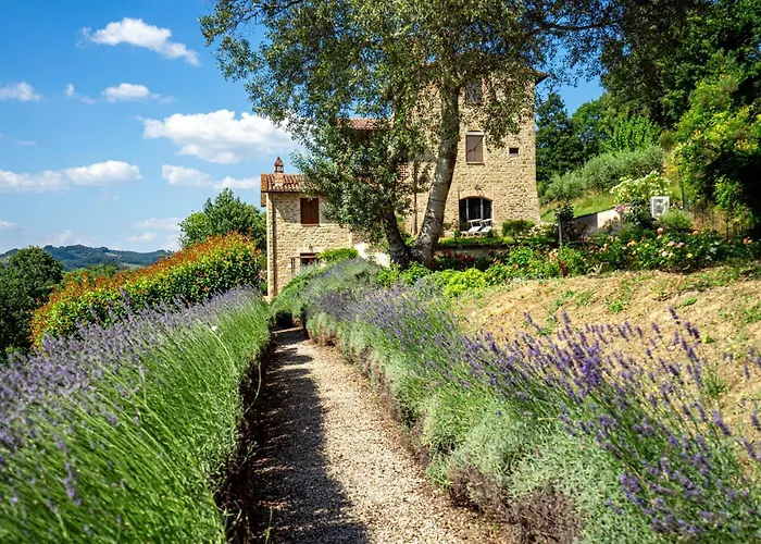 דירה Guesthost - Casale Dei Tramonti - Nature's Haven In Renovated With Pool *